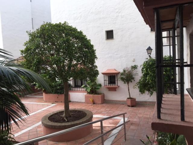 Large And Elegant In Puerto Banus With Pools And Paddle Apartment Marbella Bagian luar foto